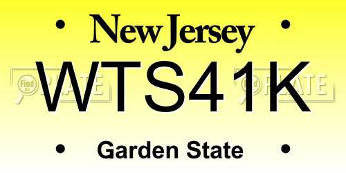WTS41K New Jersey License Plate