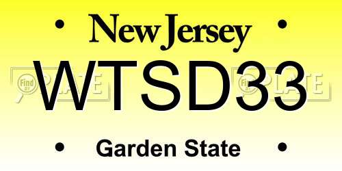 WTSD33 New Jersey License Plate
