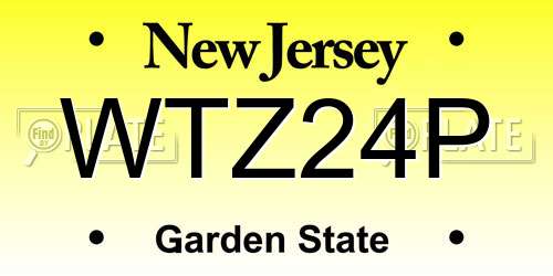 WTZ24P New Jersey License Plate