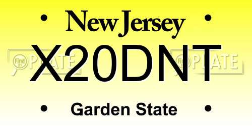 X20DNT New Jersey License Plate