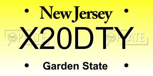 X20DTY New Jersey License Plate