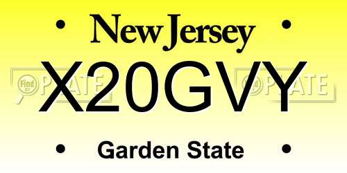 X20GVY New Jersey License Plate
