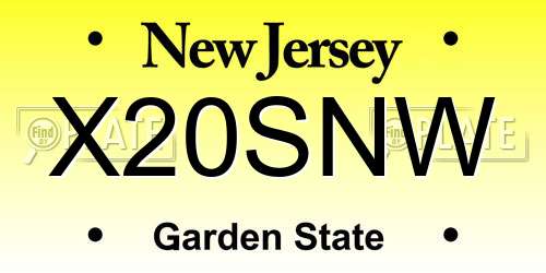 X20SNW New Jersey License Plate