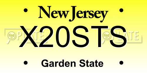 X20STS New Jersey License Plate