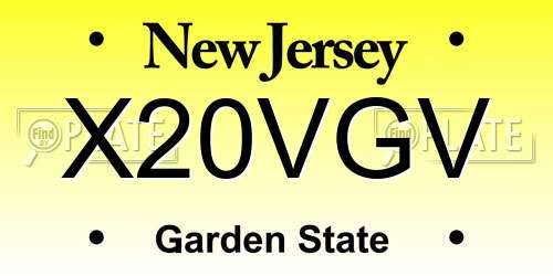 X20VGV New Jersey License Plate