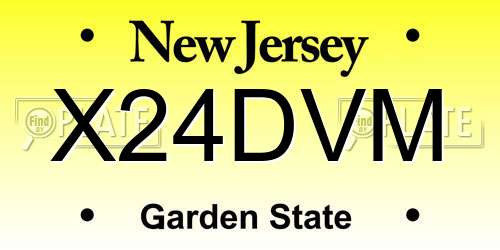 X24DVM New Jersey License Plate
