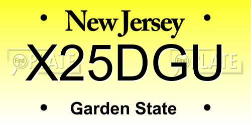 X25DGU New Jersey License Plate