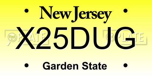 X25DUG New Jersey License Plate