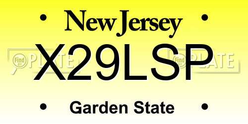 X29LSP New Jersey License Plate