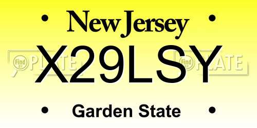 X29LSY New Jersey License Plate