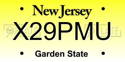 X29PMU New Jersey License Plate