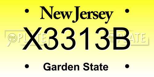 X3313B New Jersey License Plate
