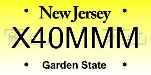 X40MMM New Jersey License Plate
