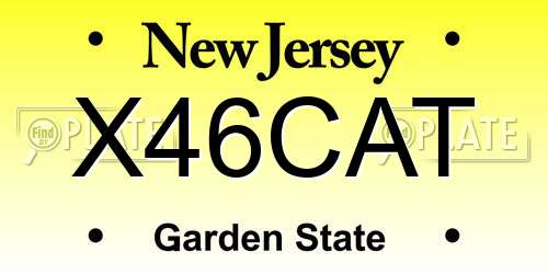 X46CAT New Jersey License Plate