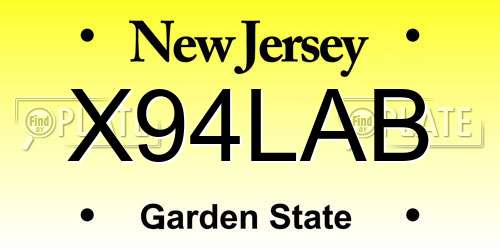 X94LAB New Jersey License Plate