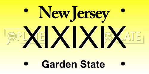 XIXIXIX New Jersey License Plate