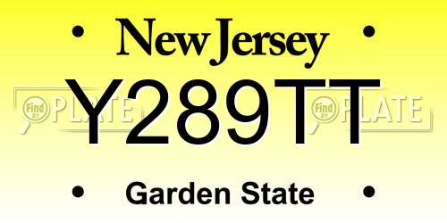 Y289TT New Jersey License Plate