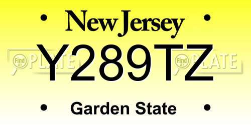 Y289TZ New Jersey License Plate