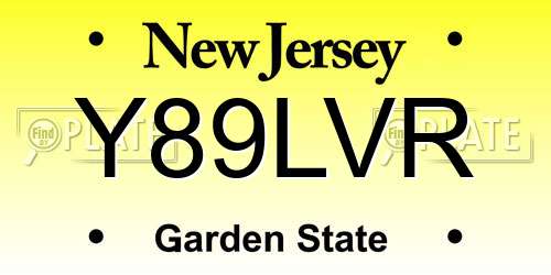 Y89LVR New Jersey License Plate