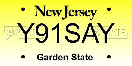 Y91SAY New Jersey License Plate