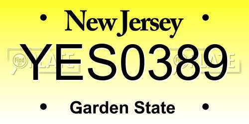 YES0389 New Jersey License Plate