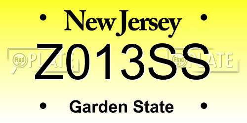 Z013SS New Jersey License Plate