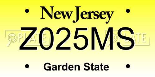 Z025MS New Jersey License Plate