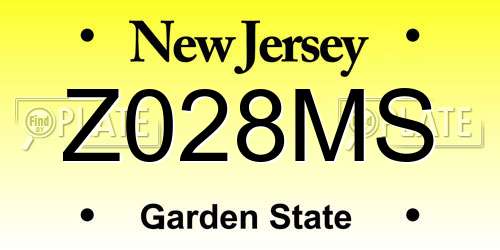 Z028MS New Jersey License Plate