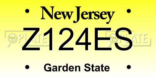 Z124ES New Jersey License Plate