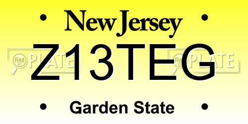 Z13TEG New Jersey License Plate