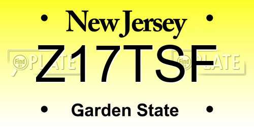 Z17TSF New Jersey License Plate