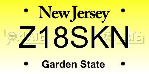 Z18SKN New Jersey License Plate