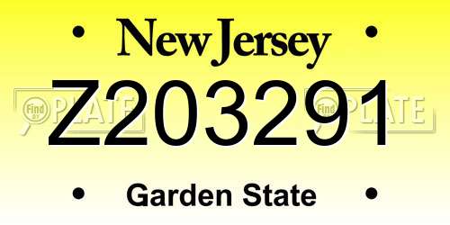 Z203291 New Jersey License Plate