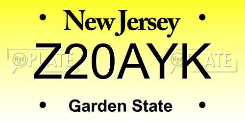 Z20AYK New Jersey License Plate