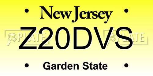 Z20DVS New Jersey License Plate
