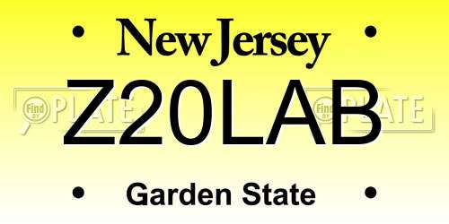 Z20LAB New Jersey License Plate