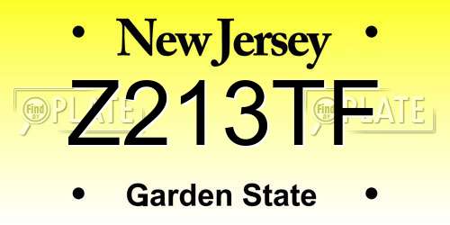Z213TF New Jersey License Plate