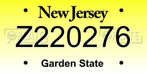 Z220276 New Jersey License Plate