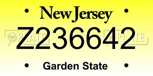 Z236642 New Jersey License Plate