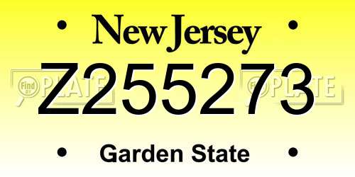Z255273 New Jersey License Plate