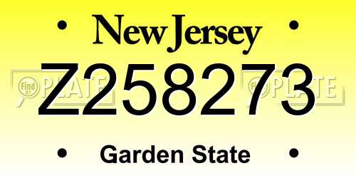 Z258273 New Jersey License Plate