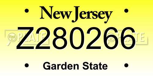 Z280266 New Jersey License Plate