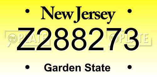 Z288273 New Jersey License Plate