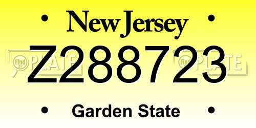 Z288723 New Jersey License Plate