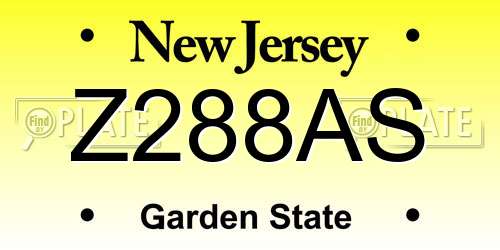 Z288AS New Jersey License Plate