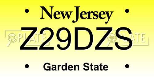 Z29DZS New Jersey License Plate