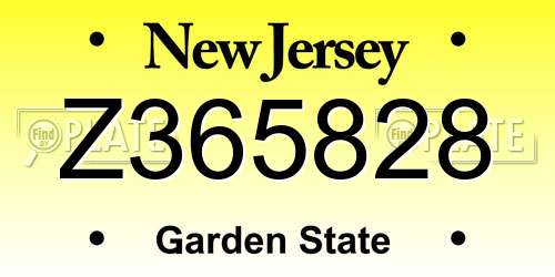 Z365828 New Jersey License Plate