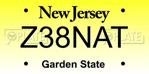 Z38NAT New Jersey License Plate