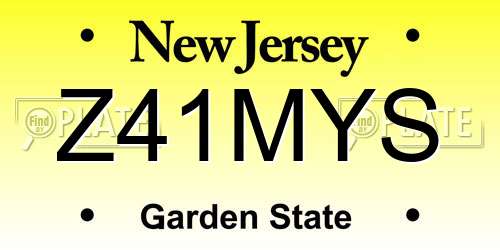 Z41MYS New Jersey License Plate