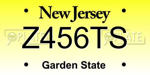 Z456TS New Jersey License Plate